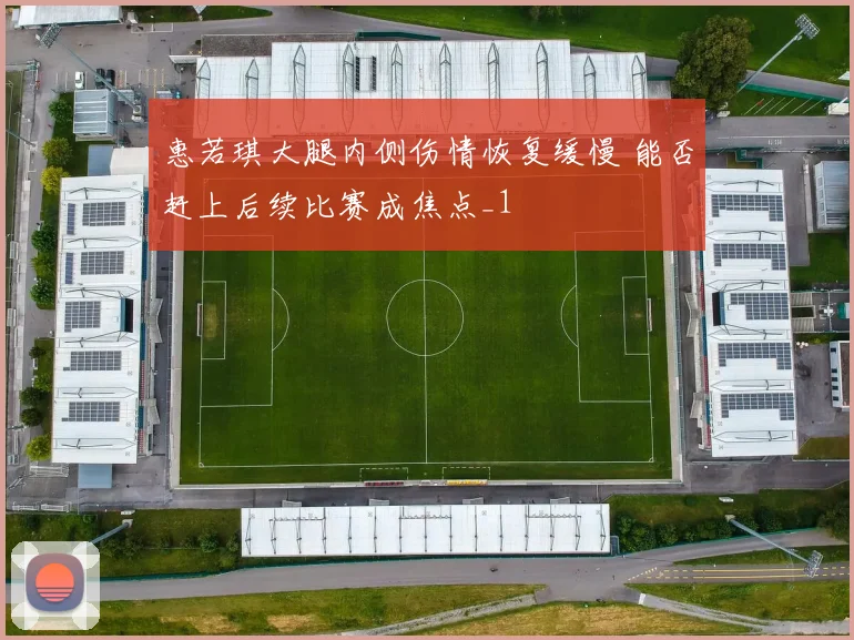惠若琪大腿内侧伤情恢复缓慢 能否赶上后续比赛成焦点_1