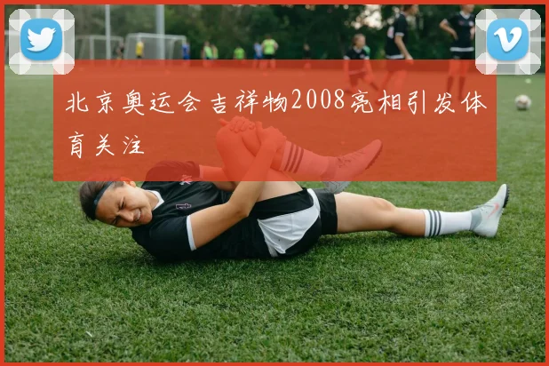 北京奥运会吉祥物2008亮相引发体育关注