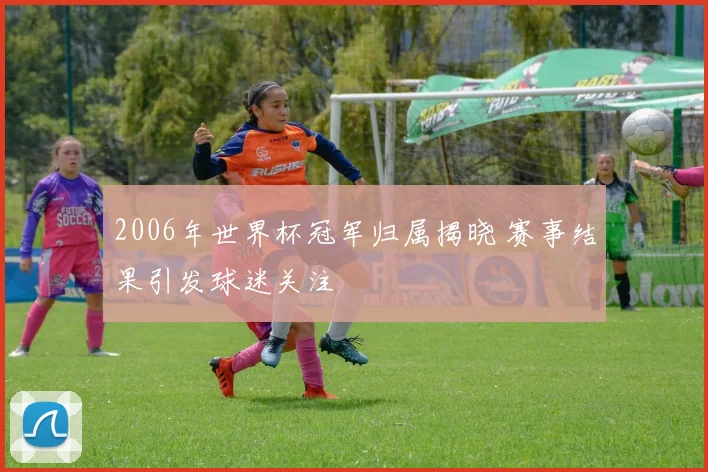 2006年世界杯冠军归属揭晓 赛事结果引发球迷关注