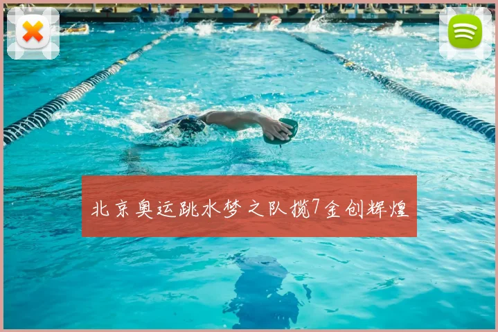 北京奥运跳水梦之队揽7金创辉煌