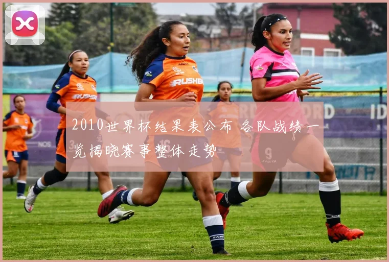 2010世界杯结果表公布 各队战绩一览揭晓赛事整体走势