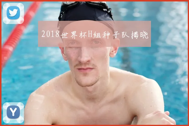 2018世界杯H组种子队揭晓