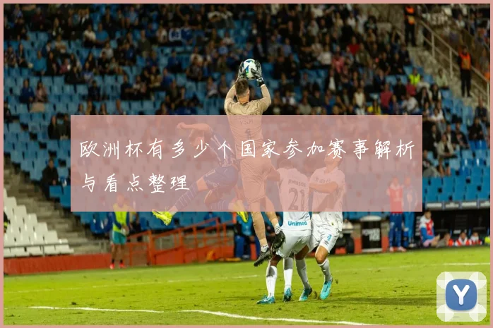 欧洲杯有多少个国家参加赛事解析与看点整理