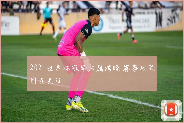 2021世界杯冠军归属揭晓 赛事结果引发关注